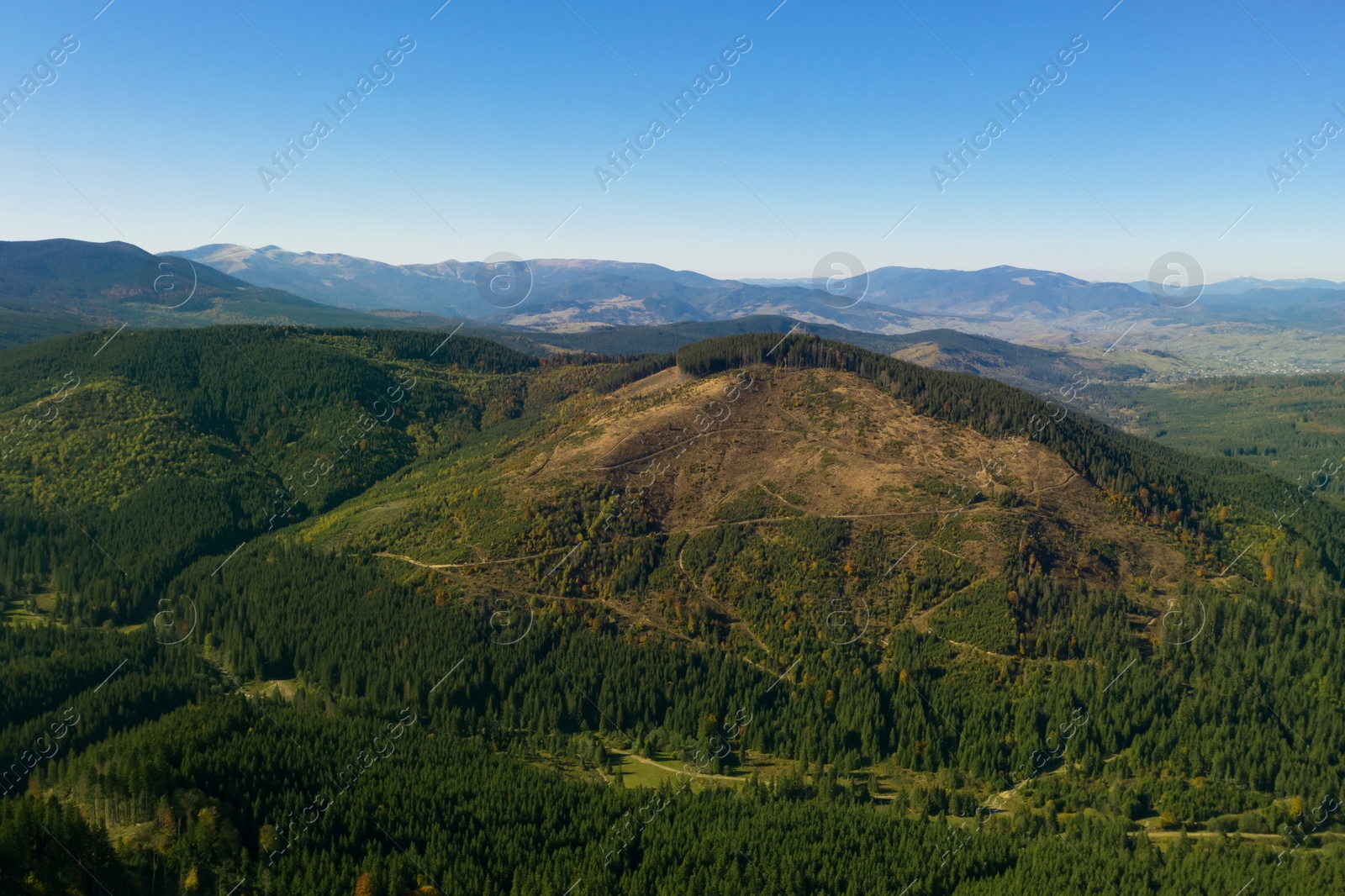 Image of Beautiful mountains covered with forest on sunny day. Drone photography