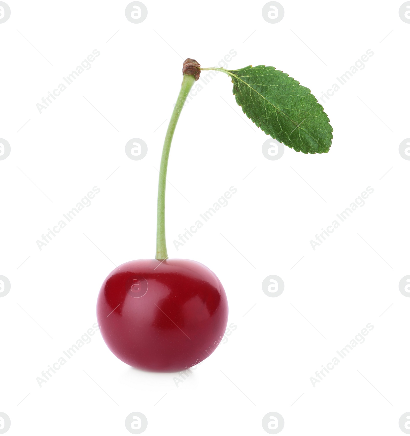 Photo of Delicious ripe sweet cherry with leaf isolated on white