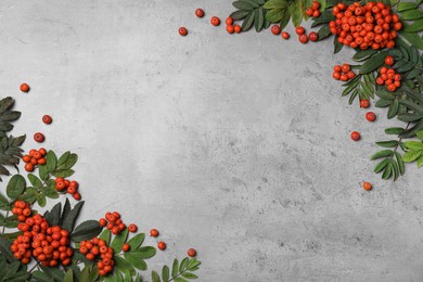 Photo of Fresh ripe rowan berries and green leaves on light grey table, flat lay. Space for text