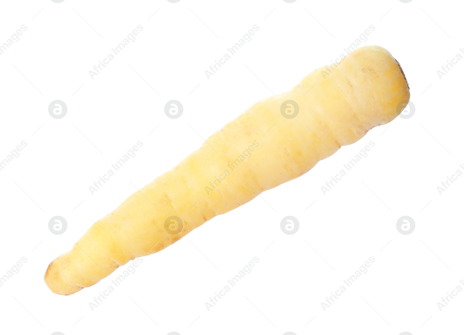 Photo of Whole fresh raw carrot isolated on white