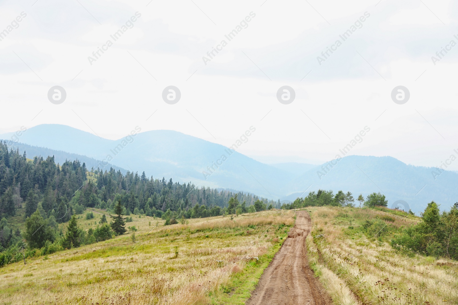 Photo of Picturesque landscape with pathway in mountains