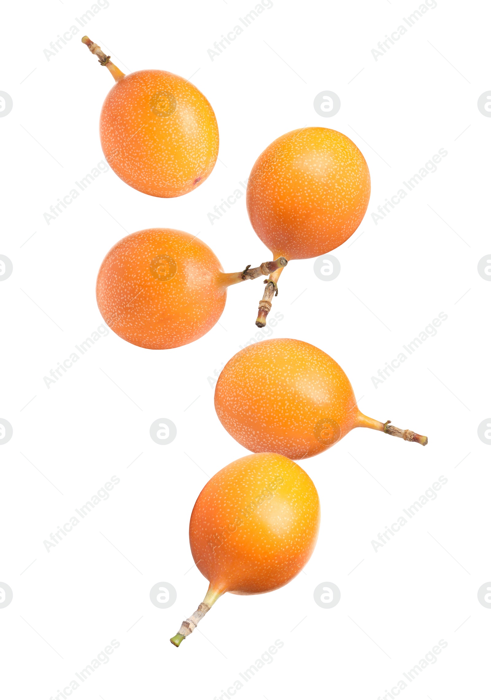 Image of Delicious ripe granadillas falling on white background 