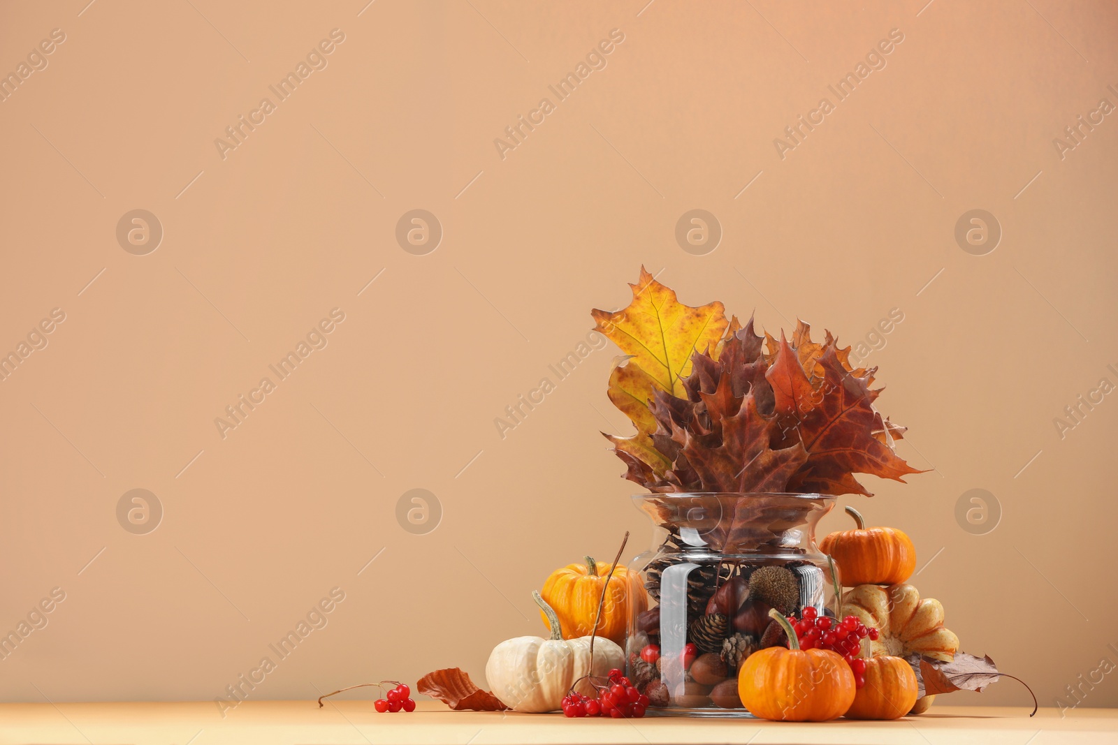 Photo of Composition with beautiful autumn leaves, berries and pumpkins on table against beige background, space for text