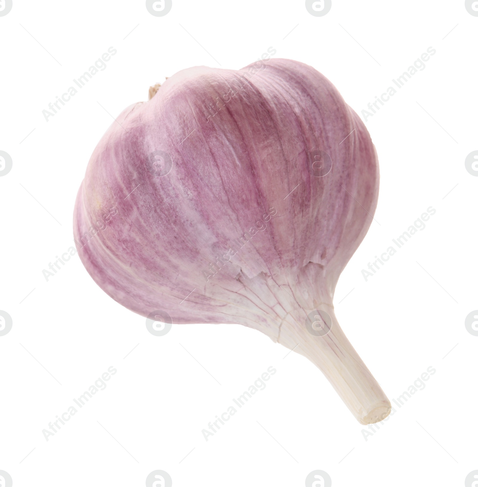 Photo of Unpeeled head of fresh garlic isolated on white