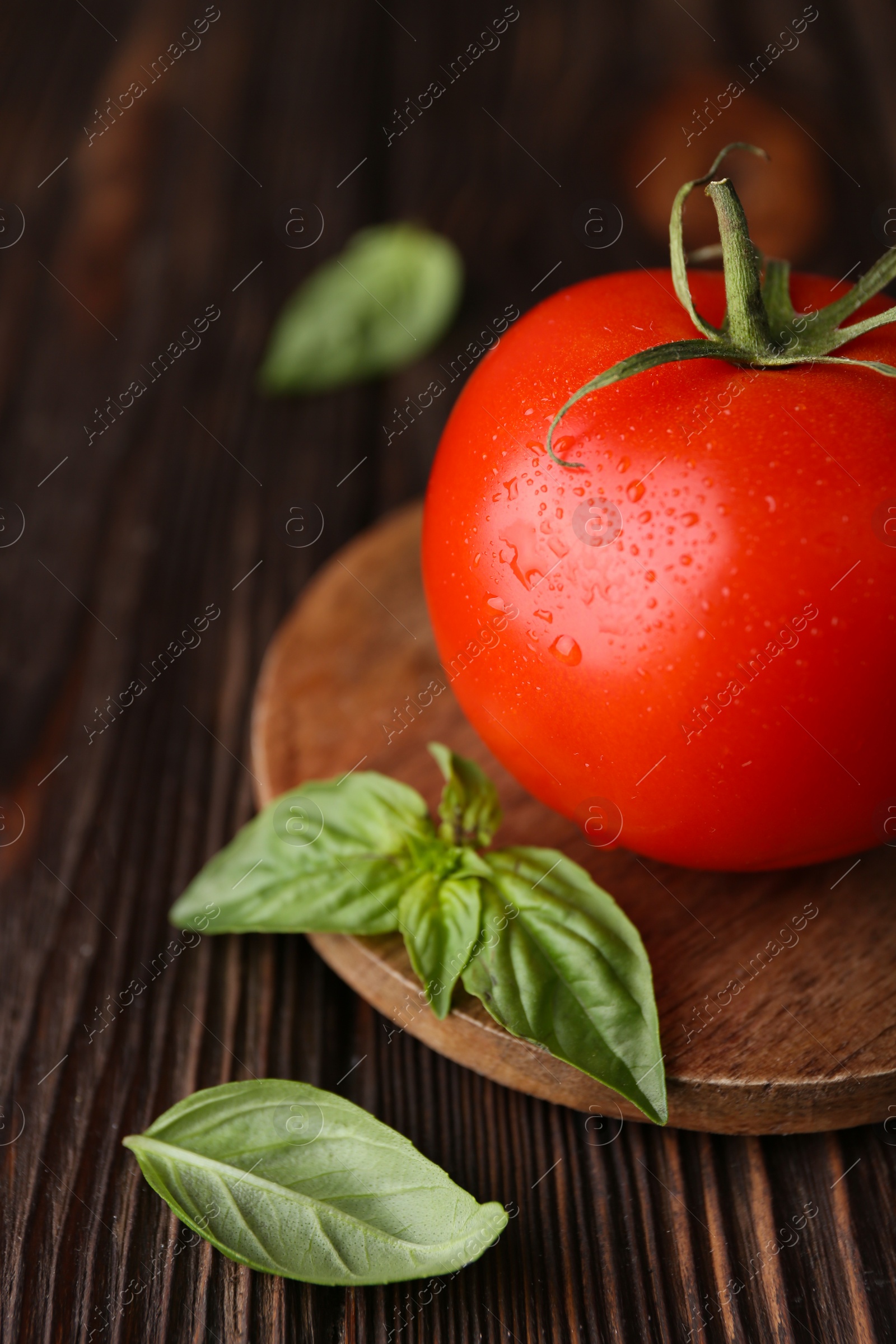Photo of Fresh ripe tomato with water drops and basil leaves on wooden table, closeup
