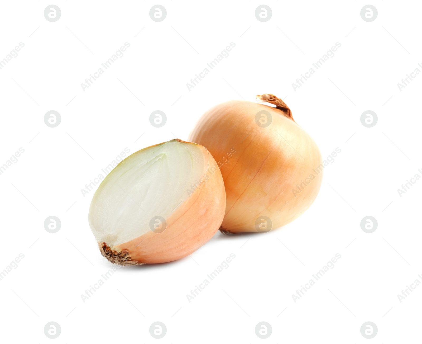 Photo of Fresh onions on white background. Ripe vegetable