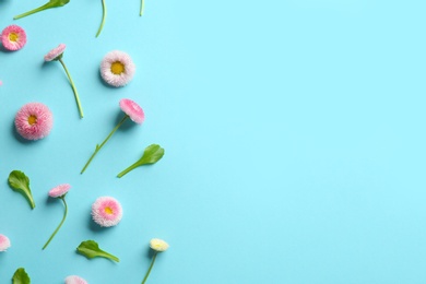 Photo of Flat lay composition with spring daisy flowers and space for text on color background