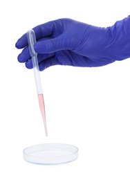 Scientist dripping liquid from pipette into petri dish on white background, closeup