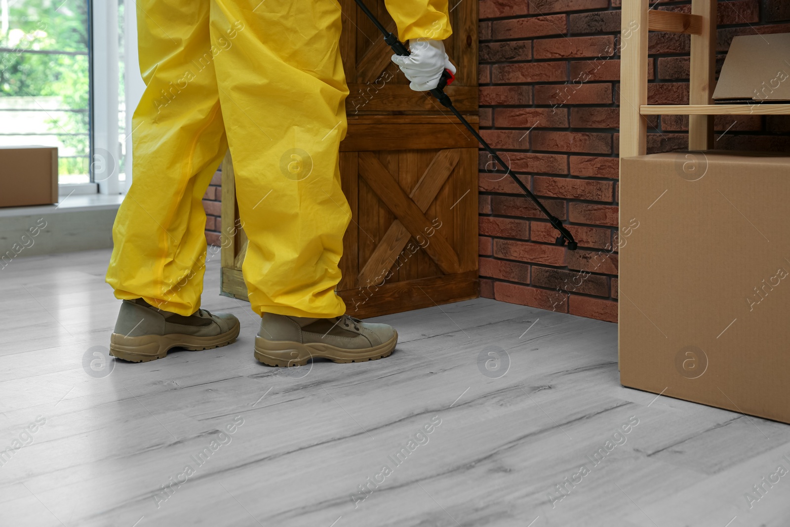 Photo of Pest control worker spraying pesticide indoors, closeup