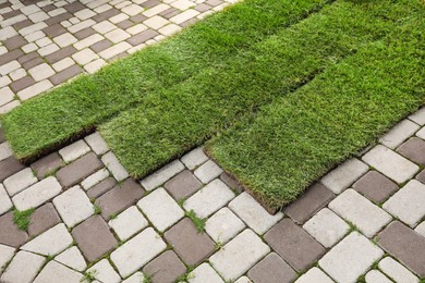 Photo of Unrolled grass sods on pavement in backyard