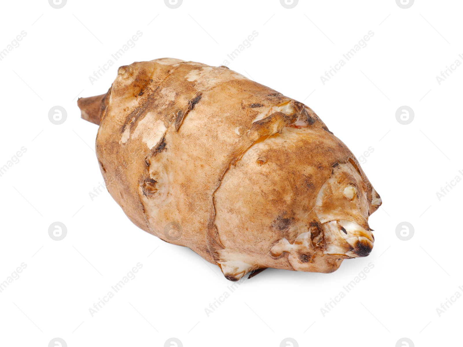 Photo of One raw Jerusalem artichoke isolated on white