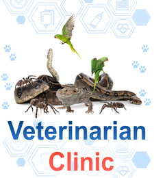 Group of different pets and text Veterinarian Clinic on white background