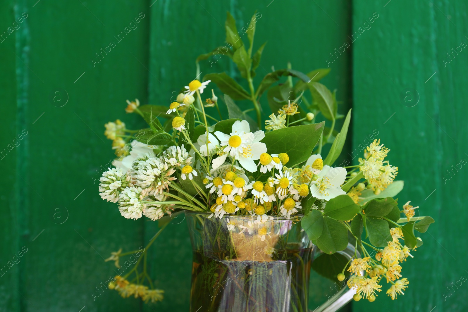 Photo of Composition with different fresh herbs in cup of tea near green wooden wall, closeup