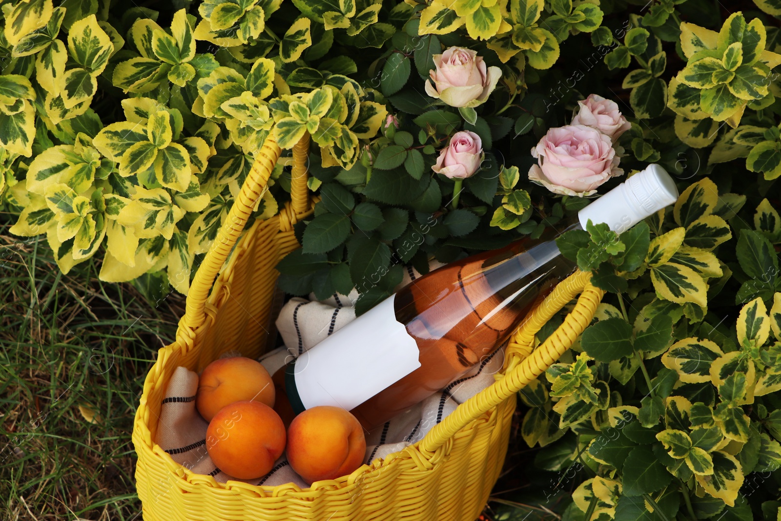 Photo of Yellow wicker bag with roses, peaches and bottle of wine outdoors