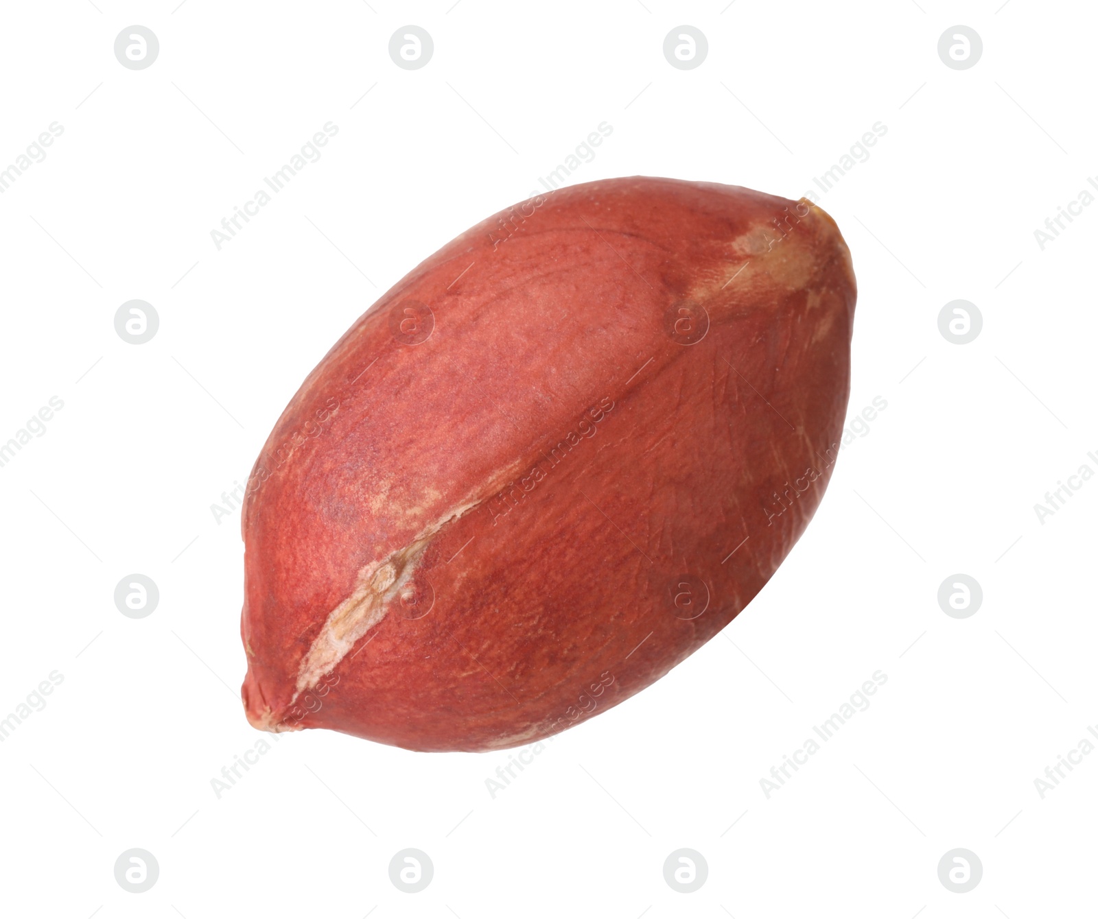 Photo of One fresh unpeeled peanut isolated on white