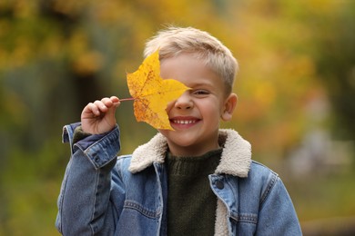 Photo of Happy boy covering face with autumn dry leaf outdoors