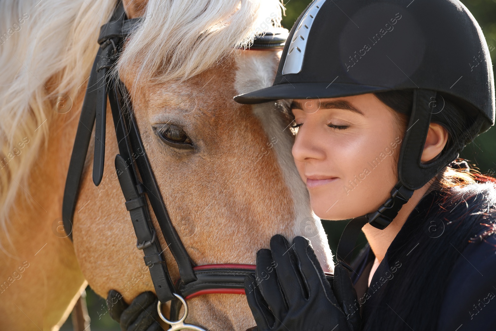 Photo of Young woman in horse riding suit and her beautiful pet outdoors on sunny day, closeup