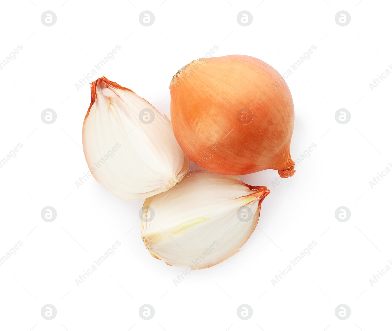 Photo of Whole and cut onion bulbs on white background, top view