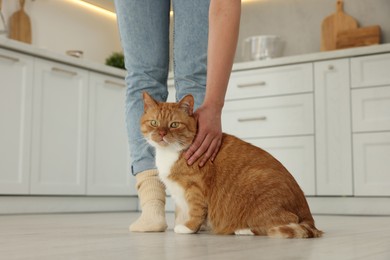 Photo of Woman petting cute cat in kitchen at home, closeup
