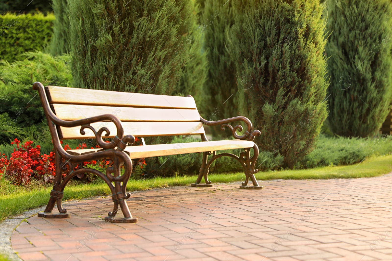 Photo of Picturesque landscape with bench on sunny day. Gardening idea