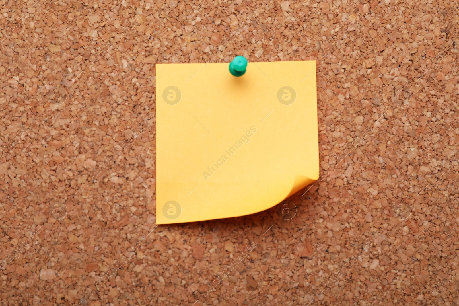 Photo of Blank paper note pinned to cork background, closeup