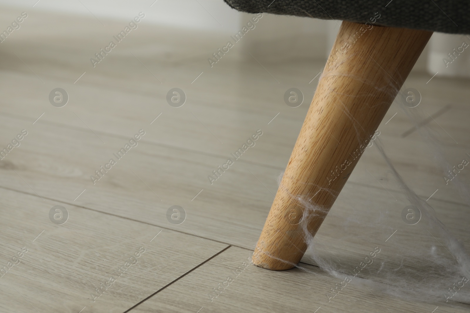 Photo of Old cobweb on chair in room, closeup