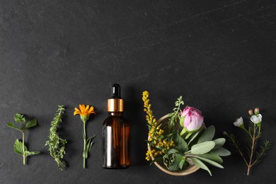 Bottle of essential oil, different herbs and flowers on black table, flat lay. Space for text