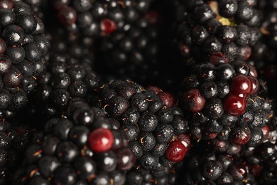 Photo of Wet tasty ripe blackberries as background ,closeup