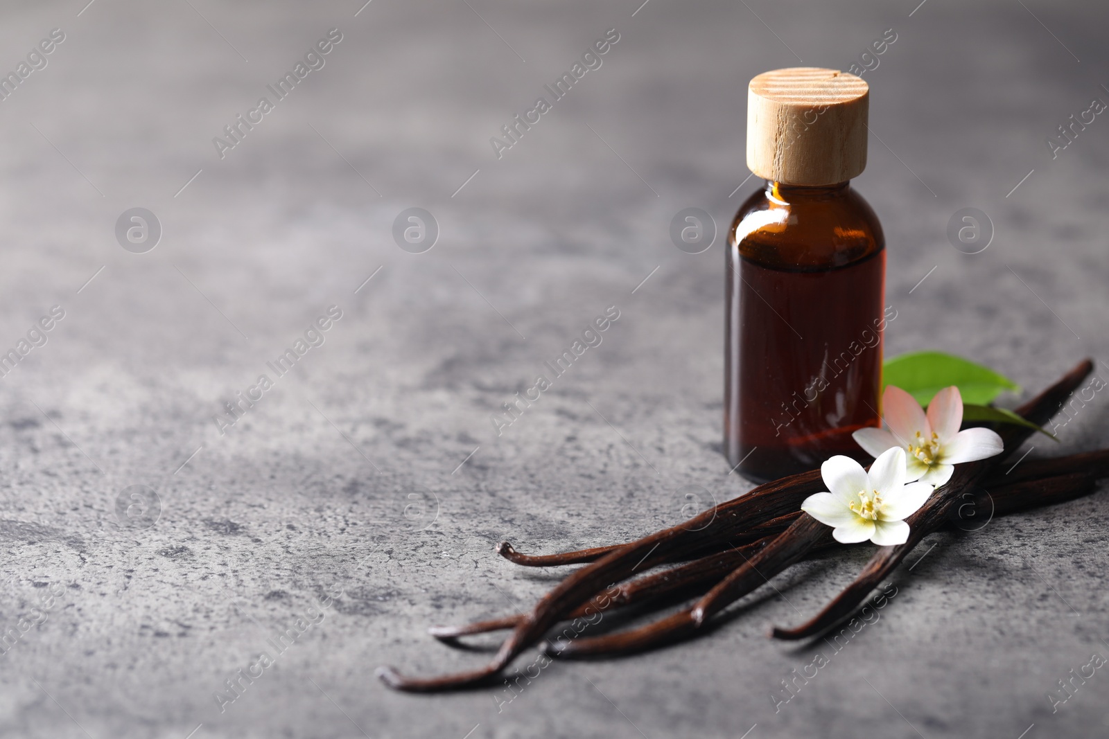 Photo of Vanilla pods, flowers, leaf and bottle with essential oil on grey textured table, closeup. Space for text