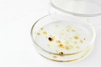 Photo of Petri dish with bacteria colony on white background
