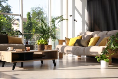 Indoor terrace interior with modern furniture and houseplants