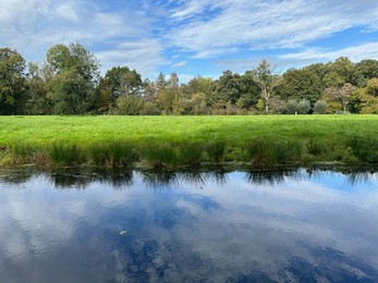 Photo of Beautiful pond, green grass and trees in park