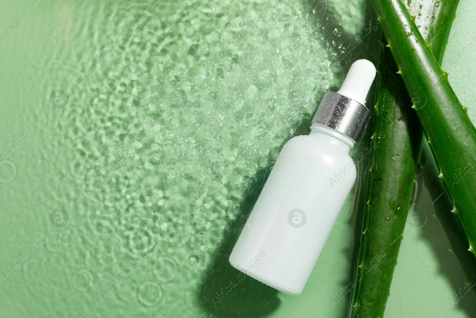 Photo of Bottle of cosmetic product and aloe leaves in water on pale green background, flat lay. Space for text