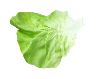 Fresh leaf of green butter lettuce isolated on white