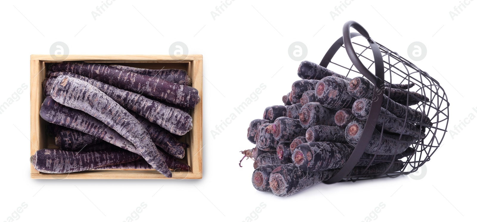 Image of Basket and wooden crate with black carrots on white background, banner design