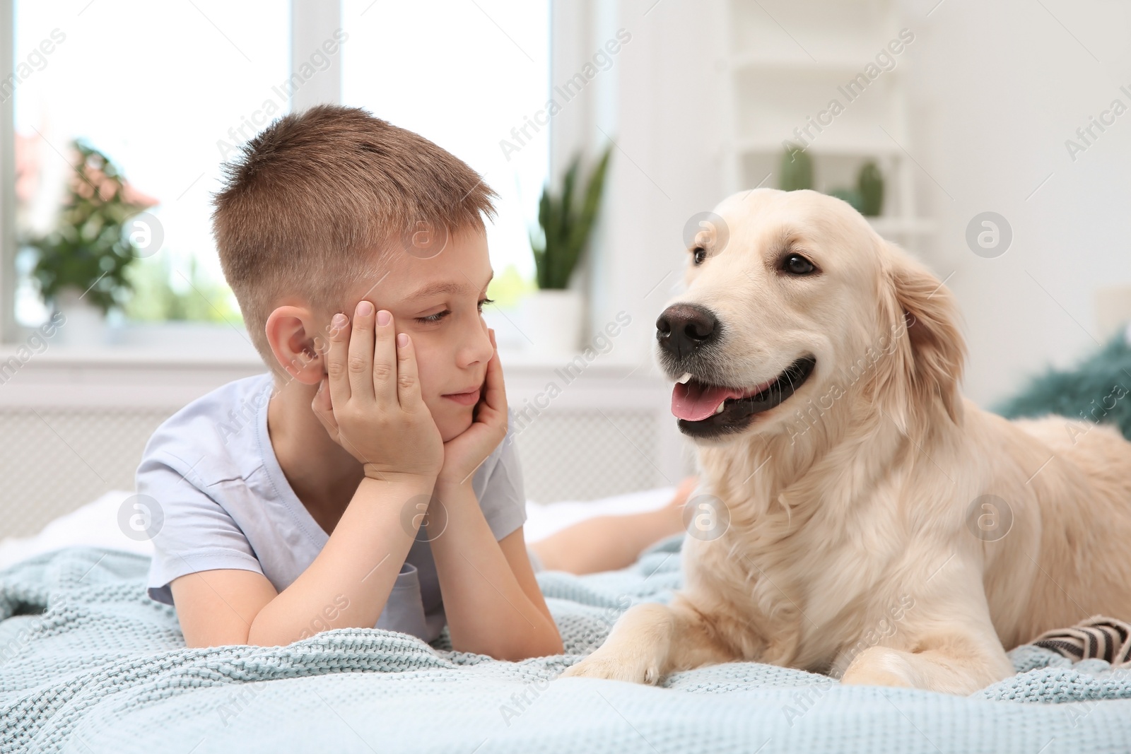 Photo of Cute little child with his pet on bed at home