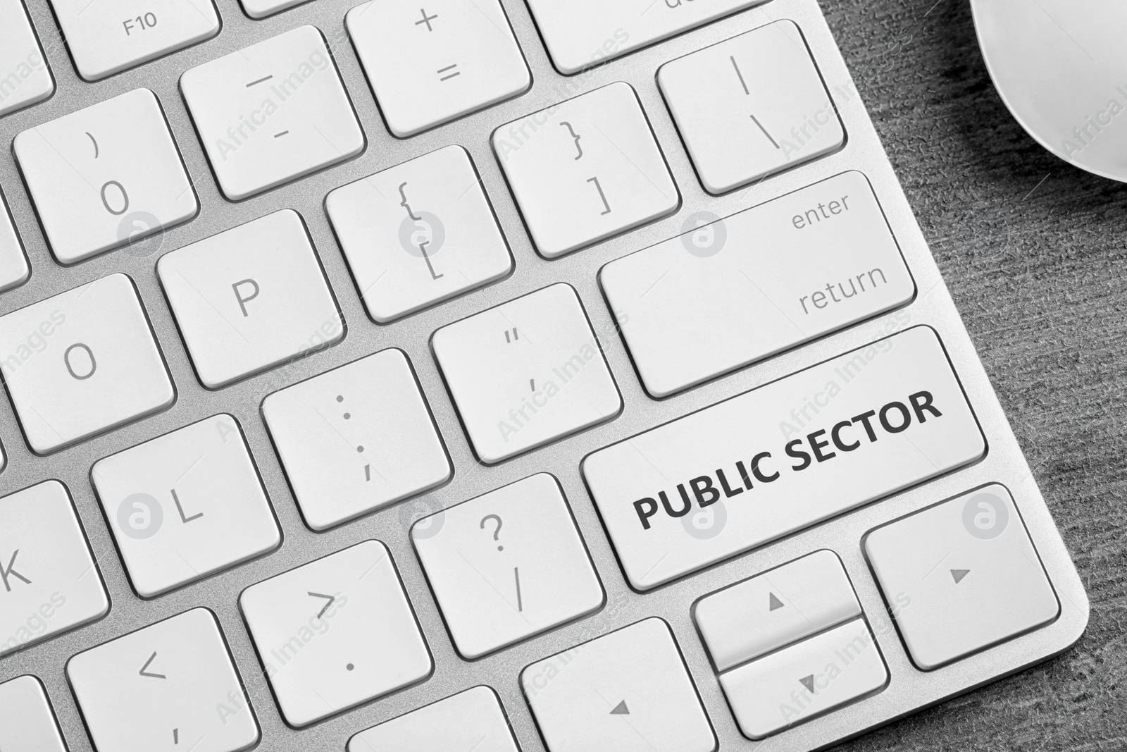 Image of Button with text Public Sector on computer keyboard, closeup