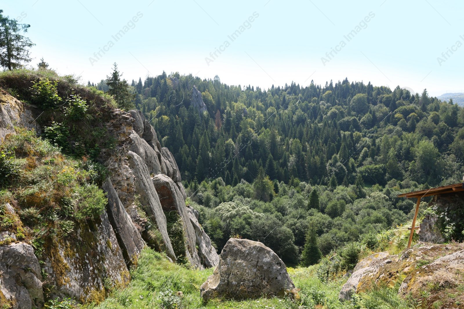 Photo of Picturesque view of mountains covered with forest and stones