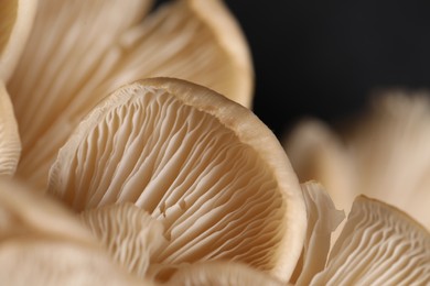 Photo of Fresh oyster mushrooms on black background, macro view