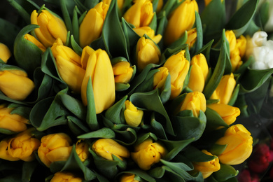 Photo of Beautiful yellow tulips as background, closeup. Floral decor