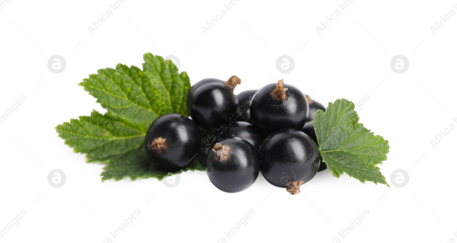 Photo of Ripe blackcurrants and leaves isolated on white