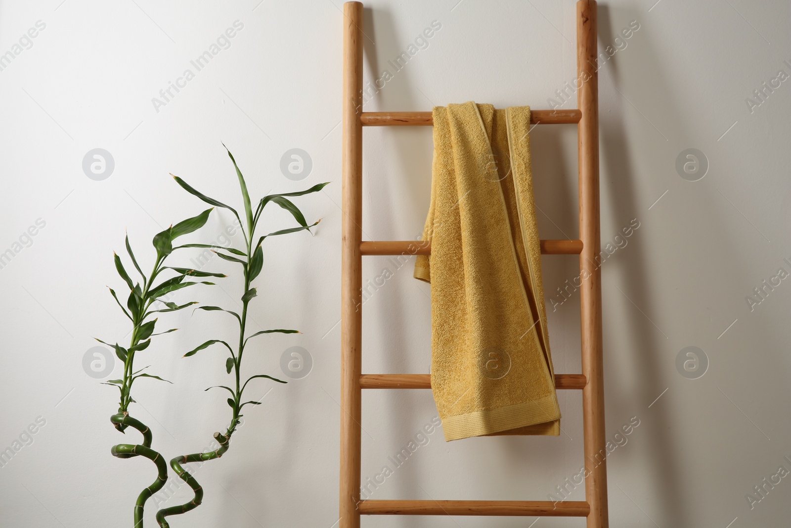 Photo of Yellow towel on wooden ladder and houseplant indoors