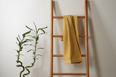 Yellow towel on wooden ladder and houseplant indoors