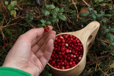 Photo of Woman picking up tasty lingonberries near wooden cup outdoors, closeup