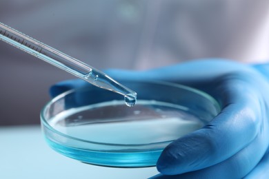 Photo of Doctor dripping liquid from pipette into petri dish on blurred background, closeup. Laboratory analysis