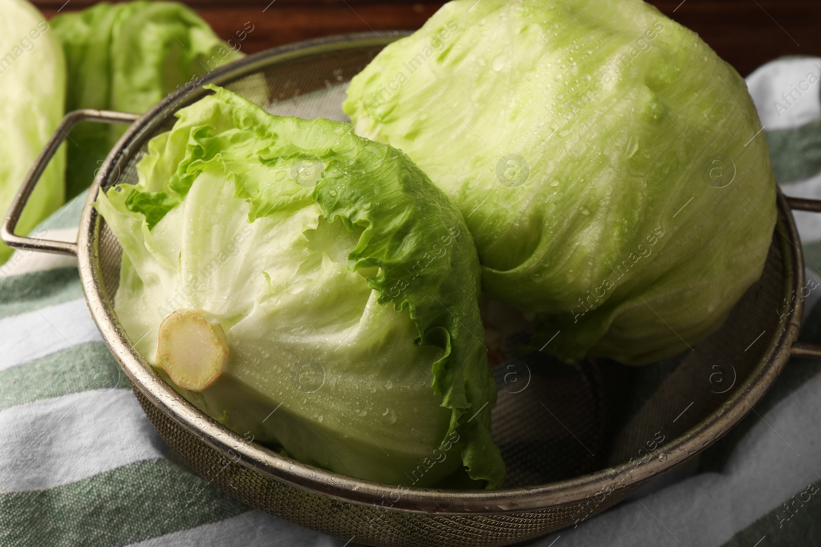 Photo of Colander with fresh green clean iceberg lettuce heads on cloth, closeup