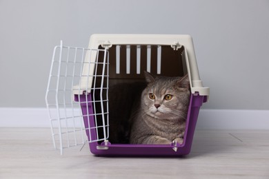 Photo of Travel with pet. Cute cat in carrier on floor near grey wall indoors