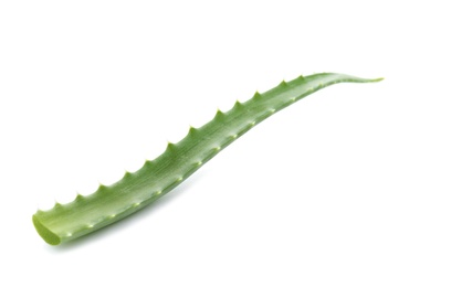 Aloe vera leaf on white background