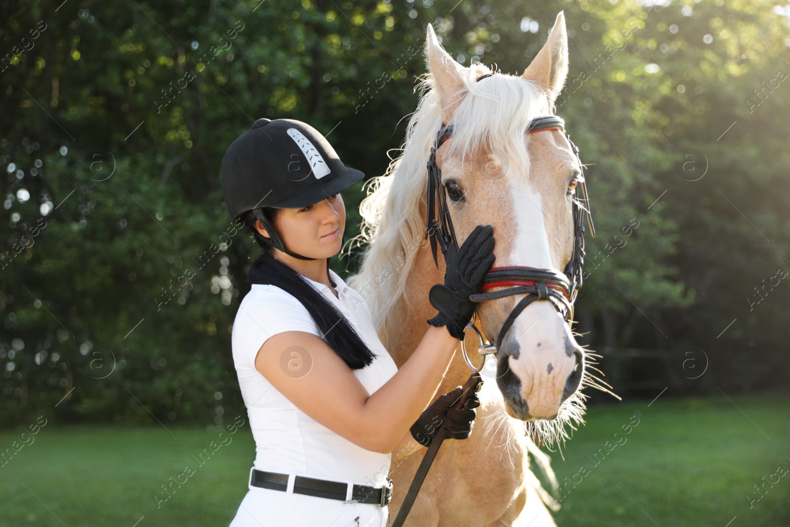 Photo of Young woman in horse riding suit and her beautiful pet outdoors on sunny day