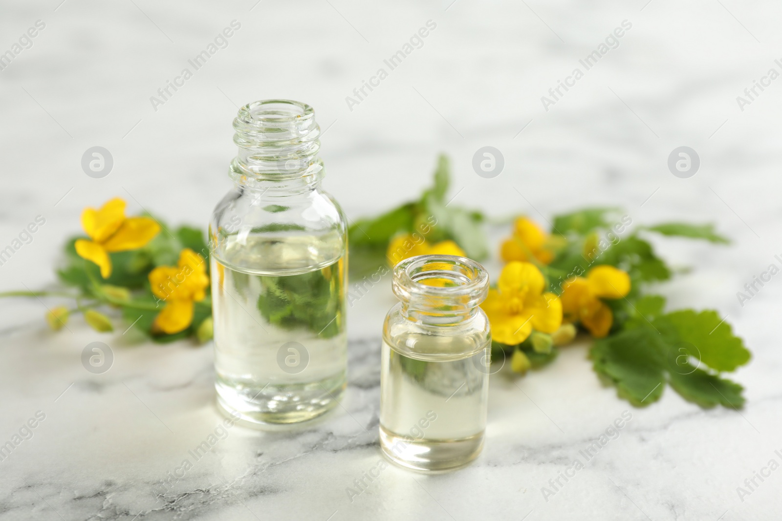 Photo of Bottles of natural celandine oil near flowers on white marble table